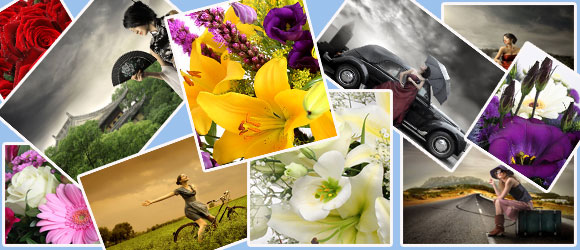 website photo gallery creation, web design solutions UK