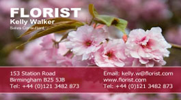 cheap business card design
